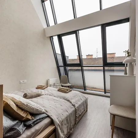 公寓 Summit - Penthouse With Parking For Two 布达佩斯